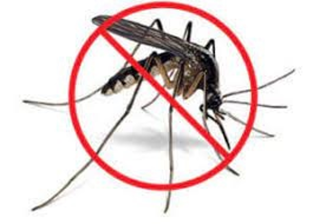 Misure di prevenzione zanzare